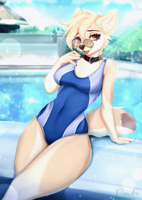 swimvix-suit