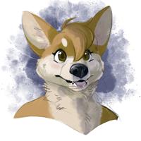 corgibust